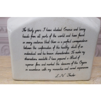 GŁOWA MEDYCZNA LEKARSKA - MAPA MÓZGU PORCELANA bla