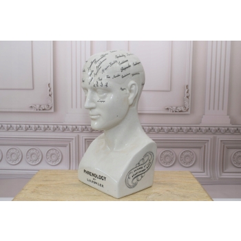 GŁOWA MEDYCZNA LEKARSKA - MAPA MÓZGU PORCELANA bla