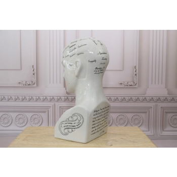 GŁOWA MEDYCZNA LEKARSKA - MAPA MÓZGU PORCELANA bla