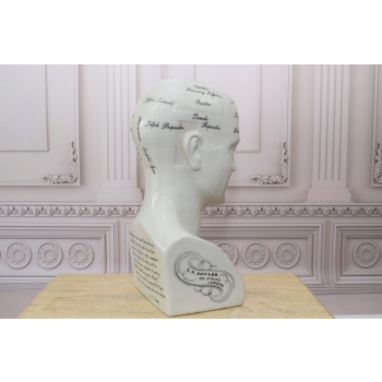 GŁOWA MEDYCZNA LEKARSKA - MAPA MÓZGU PORCELANA bla