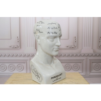 GŁOWA MEDYCZNA LEKARSKA - MAPA MÓZGU PORCELANA bla