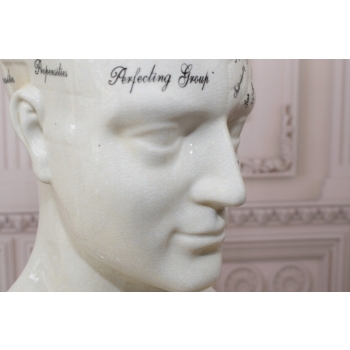 GŁOWA MEDYCZNA LEKARSKA - MAPA MÓZGU PORCELANA bla