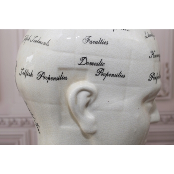 GŁOWA MEDYCZNA LEKARSKA - MAPA MÓZGU PORCELANA bla