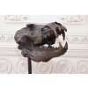 Nowoczesna Figura - Czaszka Dinozaura - Figura z Brązu - Dekoracja