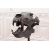 Nowoczesna Figura - Czaszka Dinozaura - Figura z Brązu - Dekoracja
