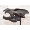 Nowoczesna Figura - Czaszka Dinozaura - Figura z Brązu - Dekoracja