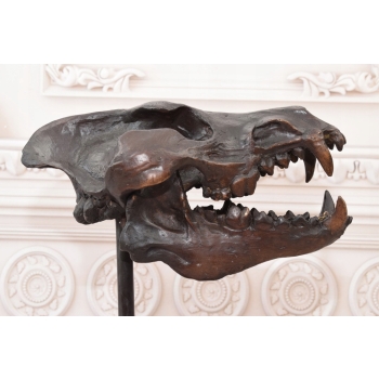 Nowoczesna Figura - Czaszka Dinozaura - Figura z Brązu - Dekoracja