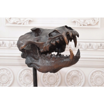 Nowoczesna Figura - Czaszka Dinozaura - Figura z Brązu - Dekoracja