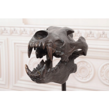 Nowoczesna Figura - Czaszka Dinozaura - Figura z Brązu - Dekoracja