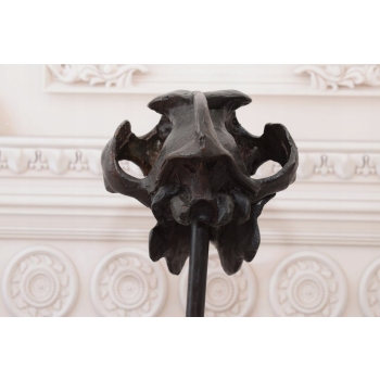Nowoczesna Figura - Czaszka Dinozaura - Figura z Brązu - Dekoracja