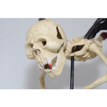 Latający Kościotrup - Kostek Memento Mori - Figura Rzeźba z Żeliwa - Ozdoba