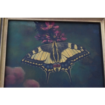 Motyl - Motylek Na Kwiatku - Natura - Obraz Olejny - Złota Rama