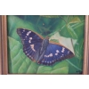Kolorowy Motyl - Motylek Na Liściu - Natura - Obraz Olejny - Złota Rama