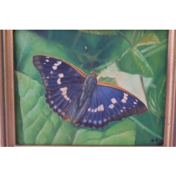 Kolorowy Motyl - Motylek Na Liściu - Natura - Obraz Olejny - Złota Rama