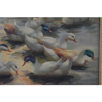 Rodzina Kaczek - Pływające Kaczki Kaczka - Scena Rodzajowa - Obraz Olejny