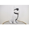 Figura Ogrodowa - Biały Pies - Buldog - Kolorowy Pies - Dom Ozdoba 40 cm