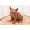 Żeliwny Bulldog - Pies Piesek - Figura Rzeźba z Żeliwa - Dekoracja Dom