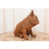 Żeliwny Bulldog - Pies Piesek - Figura Rzeźba z Żeliwa - Dekoracja Dom