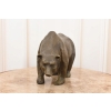 Niedźwiedź z Brązu - Miś Grizzly - Figura Rzeźba Brąz - Prezent Dekoracja