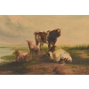 Scena Rodzajowa - Stado Krów Na Pastwisku - Obraz Olejny - Złota Rama
