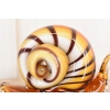 Szkło Murano GLASS - Kolorowy Ślimak - Dekoracja Ozdoba
