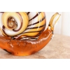 Szkło Murano GLASS - Kolorowy Ślimak - Dekoracja Ozdoba