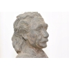 Albert Einstein Popiersie - Fizyk - Figura z Brązu - Dekoracja Prezent