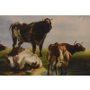 Krowy na PAstwisku - Krowa - Złota Rama - Obraz Olejny 71x61