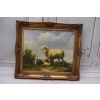 Rodzina Owiec - Owca - Złota Rama - Obraz Olejny 71x61