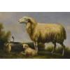Rodzina Owiec - Owca - Złota Rama - Obraz Olejny 71x61