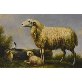 Rodzina Owiec - Owca - Złota Rama - Obraz Olejny 71x61