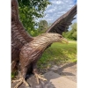 Olbrzymi Groźny Orzeł z Rozłożonymi Skrzydłami - FIGURA Z BRĄZU 360cm