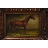 Piękny Koń Arabski - Konik - Obraz Olejny - Zdobiona Rama
