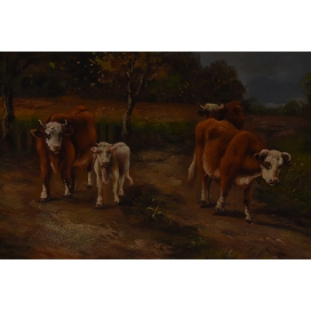 Krowy na Pastwisku - Obraz Olejny - Złota Rama