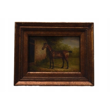 Dziki Koń Konik - Obraz Olejny - Złota Rama