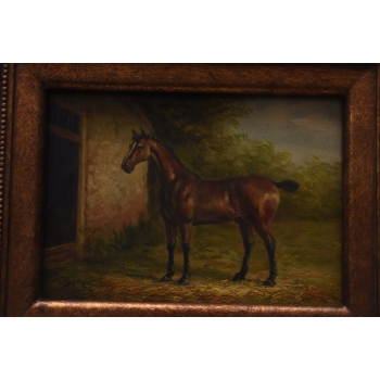 Dziki Koń Konik - Obraz Olejny - Złota Rama