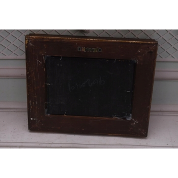 Dziki Koń Konik - Obraz Olejny - Złota Rama