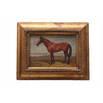 Koń Konik - Scena Rodzajowa - Obraz Olejny - Złota Rama