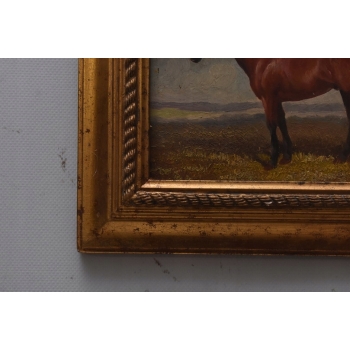 Koń Konik - Scena Rodzajowa - Obraz Olejny - Złota Rama