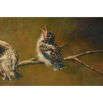 Wróble Na Gałęzi - Ptaki Ptaszki - Obraz Złoto Czarna Rama - Natura