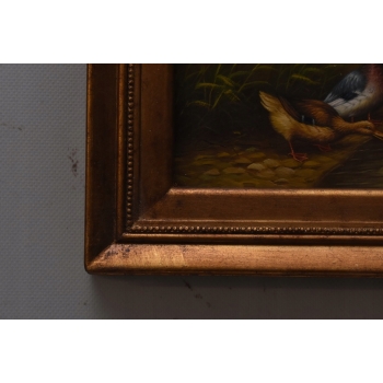 Dwie Kaczki Przy Wodopoju - Kaczka Kaczor - Obraz Olejny - Złota Rama