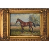 Piękny Brązowy Koń Arabski - Konik - Obraz Olejny - Złota Rama