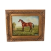 Piękny Brązowy Koń Arabski - Konik - Obraz Olejny - Zdobiona Rama