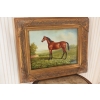 Piękny Brązowy Koń Arabski - Konik - Obraz Olejny - Zdobiona Rama