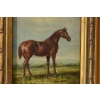 Dostojny Brązowy Koń Arabski - Konik - Obraz Olejny NA Drewnie - Złota Rama