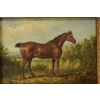 Piękny Brązowy Koń Arabski Na Pastwisku - Konik Obraz Olejny Zdobiona Rama