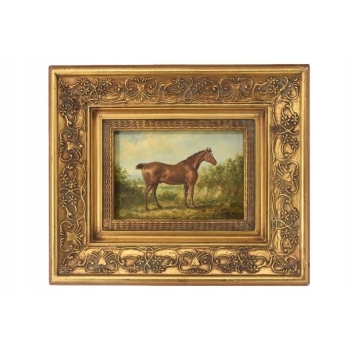 Piękny Brązowy Koń Arabski Na Pastwisku - Konik Obraz Olejny Zdobiona Rama