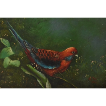 Kolorowa Papuga Na Gałęzi - Ptak Natura - Obraz Olejny Ozdobna Złota Rama