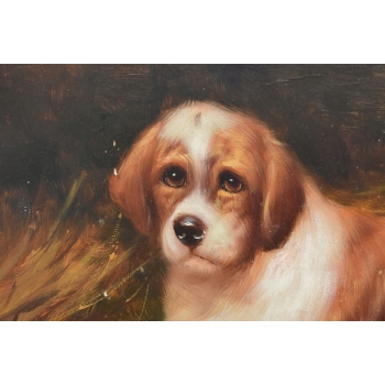 Portret Bernardyna - Szczeniak Pies Piesek - Obraz Olejny Złota Rama