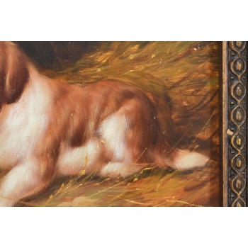 Portret Bernardyna - Szczeniak Pies Piesek - Obraz Olejny Złota Rama